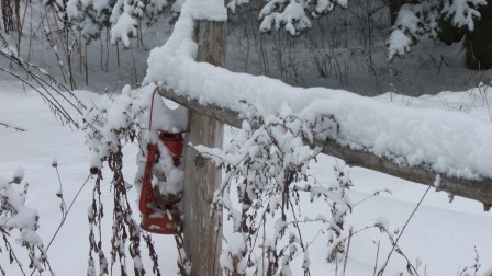 DSCF4133.JPG, janv. 2021